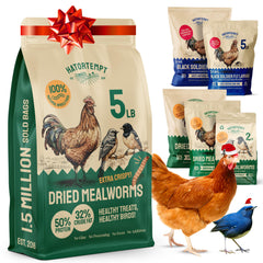Hatortempt Dried Mealworms in a sealed bag provide crisp texture and protein for wild birds