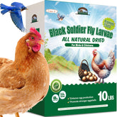 Hatortop BSFL dried larvae packaging shows resealable bag for freshness.