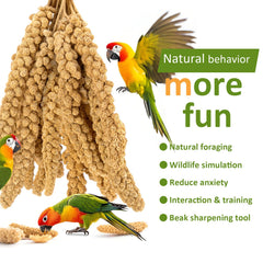HATORTOP millet seed nutrition, featuring 15% protein and 23% fiber.