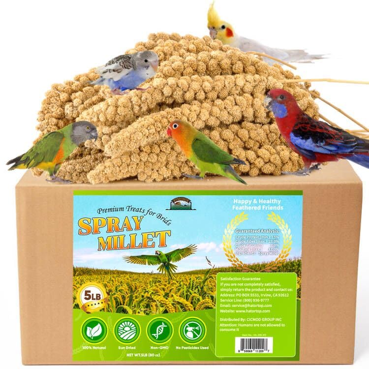 HATORTOP spray millet birds 5lb bag, ready-to-eat energy for parakeets.