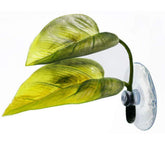 Haulonda Betta Hammock Plant Leaf Pad setup provides an easy, stress-relief resting spot near the surface.