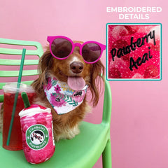 Haute Diggity Dog Starbarks Ruffresher embroidery-pawberry-acai emphasizes playful decoration and premium detail.