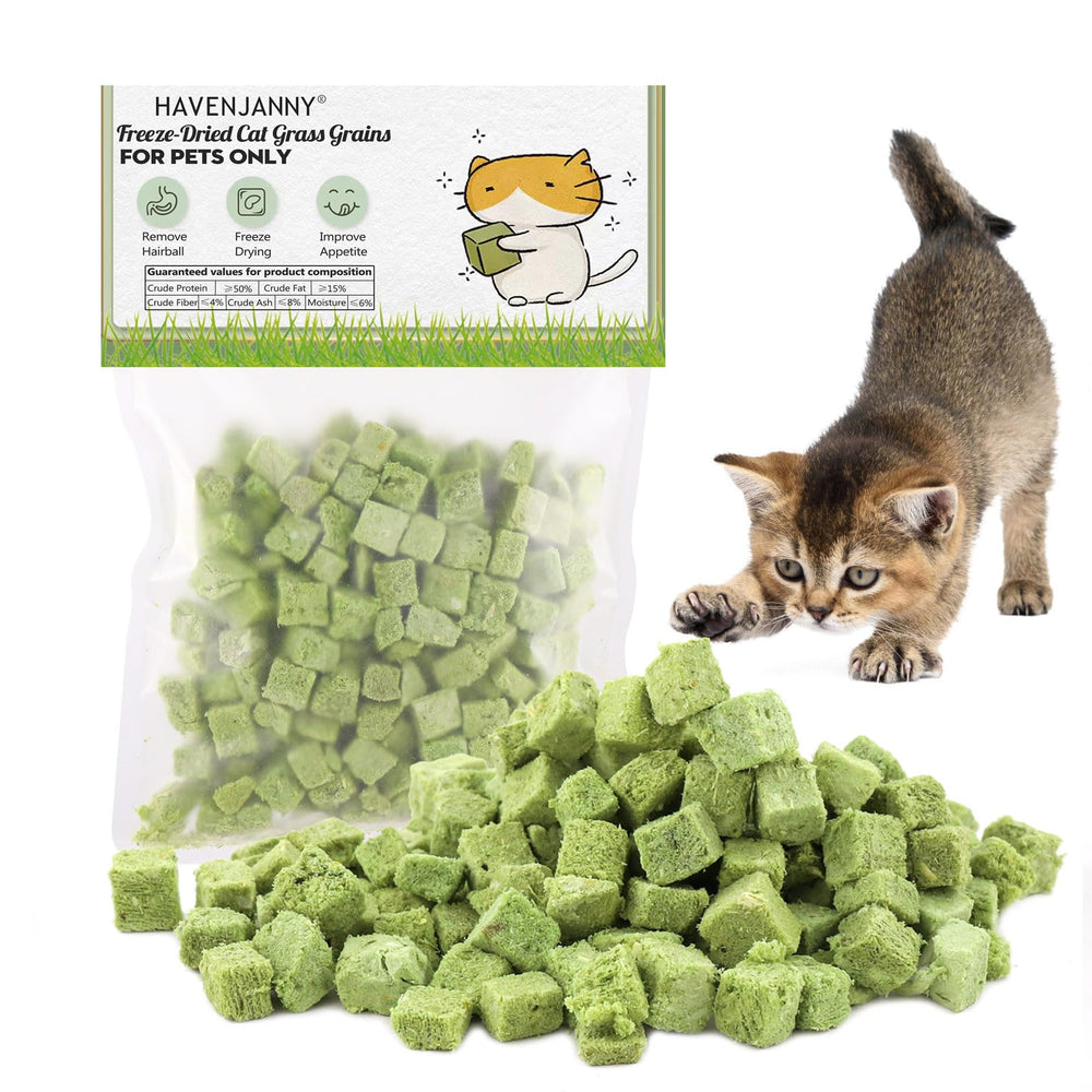 HavenJanny Bastones de hierba para gatos de 60 g para masticar tras la comida