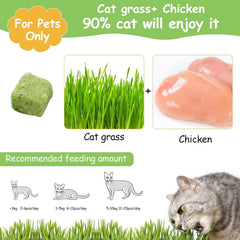HavenJanny cat grass teething sticks bite-size close-up shows easy-to-eat pieces.