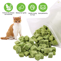 HavenJanny cat grass treats closeup emphasizes fresh ingredients and pet-friendly flavor.