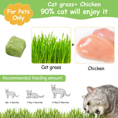 HavenJanny freezed-dried cat grass teething stick close-up highlights crunchy texture for chewing.