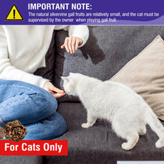 HavenJanny Silvervine Gall Fruit packaging shows natural, additive-free cat chew
