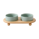 Havniva ceramic elevated cat bowl on stand in light green for comfortable feeding.