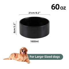 Havniva raised dog bowl with dishwasher-safe ceramic