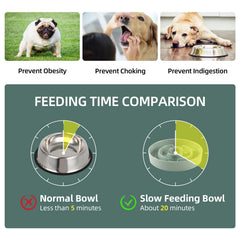 Havniva slow feeder bowl in a dining scene demonstrates mess-free feeding