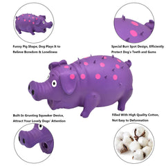 HCHYEY Pig Squeaky Toy closeup burr-design shows durable construction