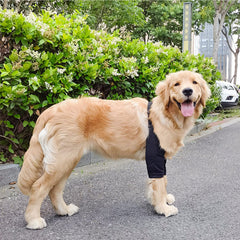 HDKUW dog elbow protector breathable mesh detail highlights air flow and cooling comfort.