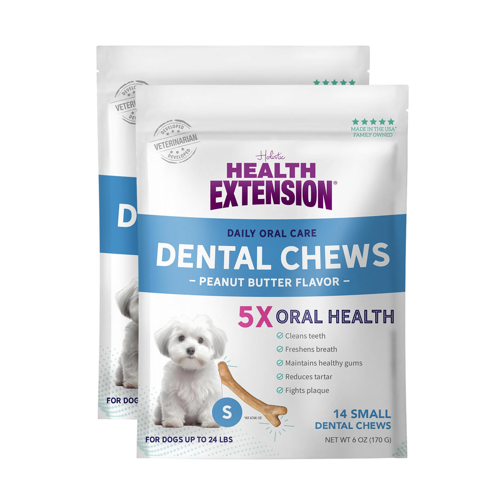 Health Extension peanut butter dental bones front view two small packs