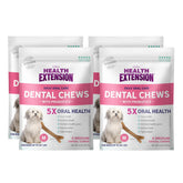 Health Extension Probiotic Dental Bones pack4-front-view shows elongated bone designed for cleaner teeth.