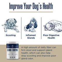 Healthy Pup pumpkin powder dog digestive support in a bowl