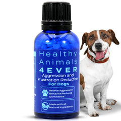 HealthyAnimals4Ever HA4E jar front shows calming relief for anxious dogs