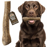 Heartland Antlers elk-antler chew 7-inch large, durable for aggressive chewers and dental care