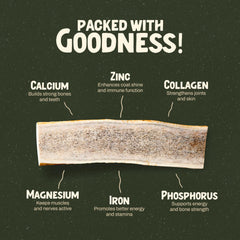 Heartland Elk Antlers odorless, mess-free chews ideal for apartments.