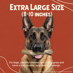 Heartland Antlers splinter-free dense outer-layer safe indoor chewing