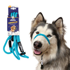 Heather's Heroes Sidekick headcollar turquoise closeup showing gentle nose pressure for calm walks.
