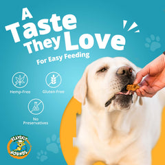 A dog holds Heavenly Hounds chew, emphasizing portable anxiety-relief treat on the go.
