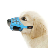 HEELE dog muzzle front view showing secure fit for daily walks