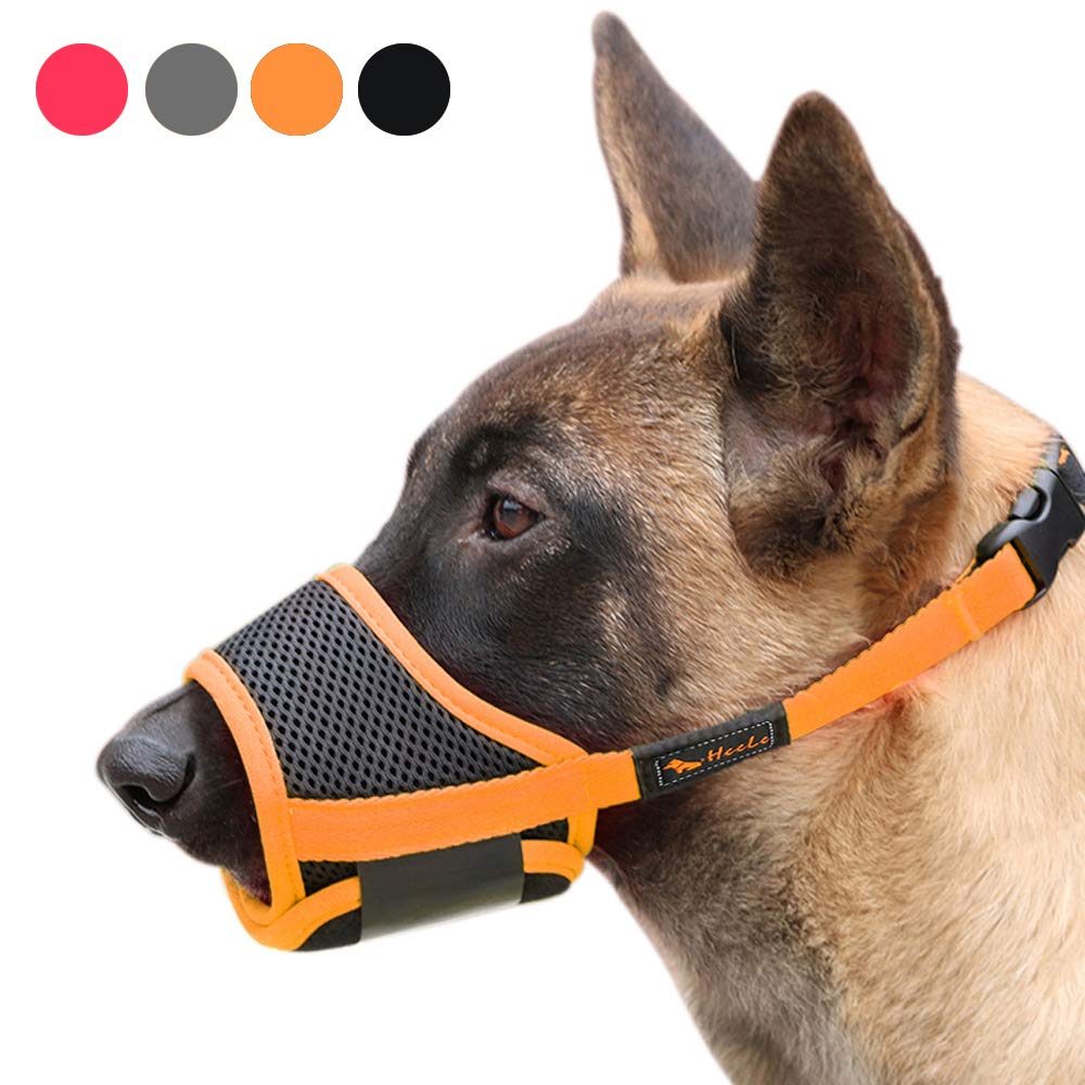 HEELE dog muzzle orange L side view shows secure fit for training.