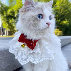 HEEPDD Cat Bandana Style decorative look for special occasions