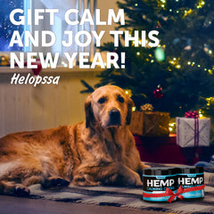 Helopssa dog relaxing during a thunderstorm showing effectiveness for storms anxiety.