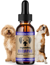 MycoDog Breathe bottle close-up highlighting natural mushroom blend for breathing comfort.