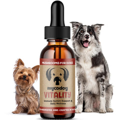Hemp Dog Health MycoDog Vitality bottle label highlights immune support for dogs.