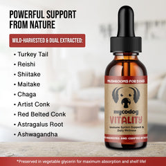 Close-up of mushroom blend ingredients shows turkey tail and reishi for immune support.