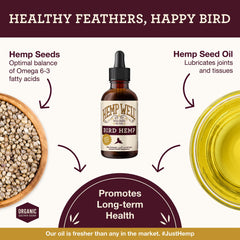 Hemp Well Bird Oil dropper ready for precise oral dosing
