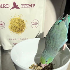 Hemp Well Hemp Hearts for Birds use USA-grown hemp