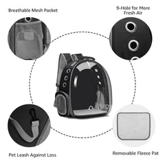 Henkelion backpack carrier on back demonstrates hands-free convenience during hikes and cycling.