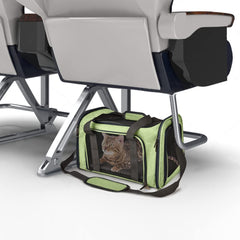 Henkelion pet carrier mesh-sides green provides clear pet visibility and airflow.