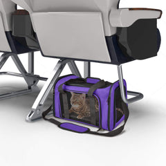 Henkelion pet carrier mesh-sides provide visibility and ventilation