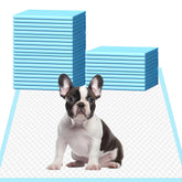 HEPPYPLUS dog pee pads 22x23 packaging demonstrates leak-proof design for home use.