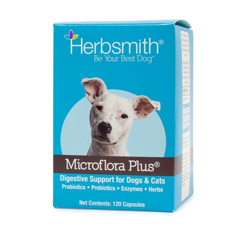 Herbsmith Microflora Plus bottle supports daily digestive wellness for dogs.