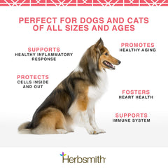 Herbsmith Pure Krill Antarctic krill artwork highlights sustainable sourcing