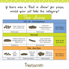 Herbsmith Slippery Elm powder-closeup emphasizes fiber-rich formula aiding regularity.