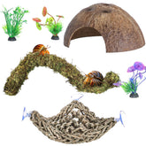 HERCOCCI hermit crab moss vine adds humidity-friendly climbing enrichment.