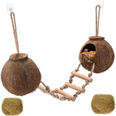HERCOCCI Gecko Tank double coconut shell hut provides a natural hideaway and exercise space.