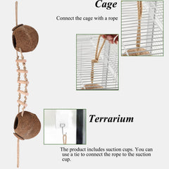 HERCOCCI Gecko Tank removable ladder design supports customizable enrichment.