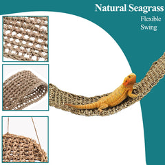 HERCOCCI natural seagrass vine adds climbable decor and hideaway opportunities.