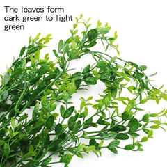 Hercocci terrarium plants silk leaves close-up show safe habitat realism.
