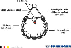 Herm Sprenger prong collar on dog neck demonstrates secure fit for confident controlled walks.