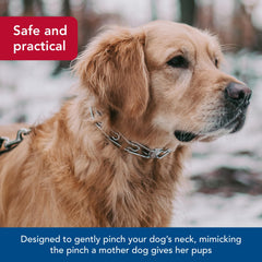 Herm Sprenger Ultra-Plus prong dog training collar chrome solid-fastener-plate close-up demonstrates secure connection