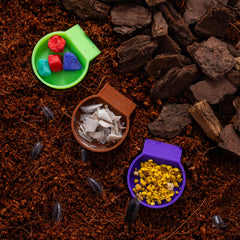 HERPDEN dual ramp entry design prevents small insects from getting stuck during feeding.