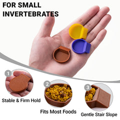 HERPDEN feeding dishes compact size fits small feeding portions for dubia roaches.